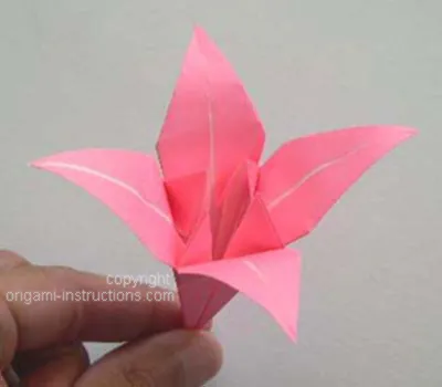 Origami Lily