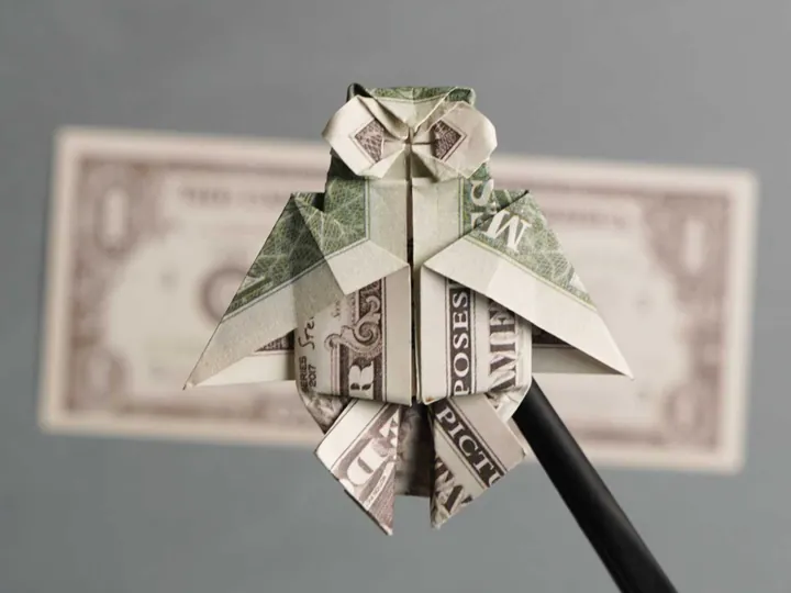 Origami Money Owl