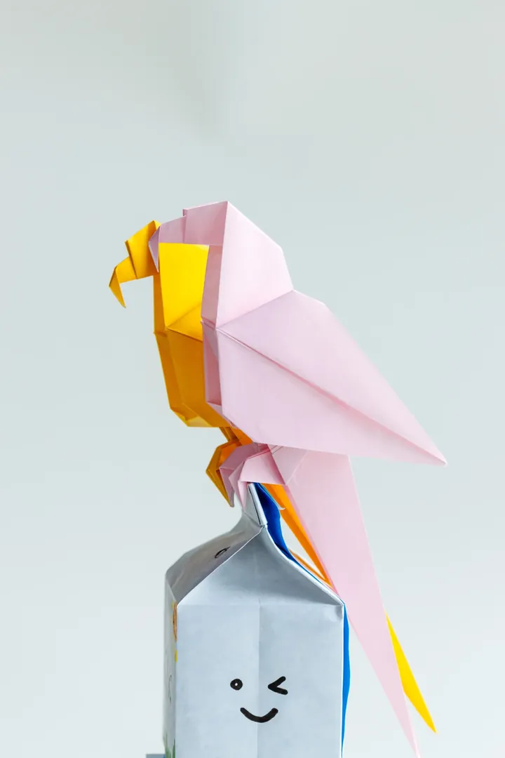 Origami Parrot
