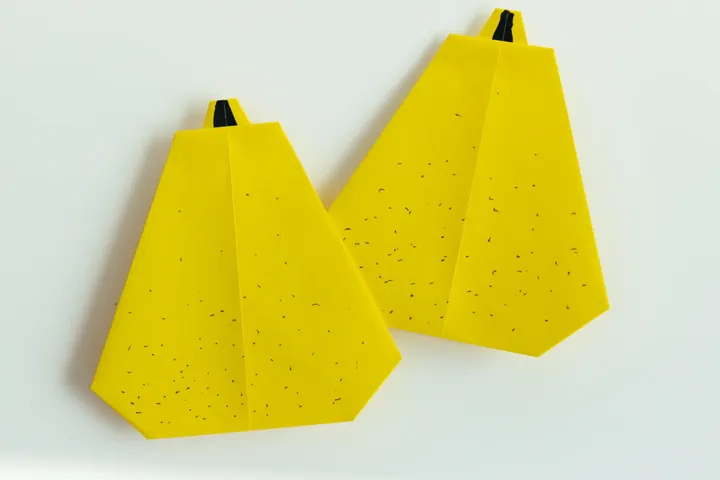 Origami Pear