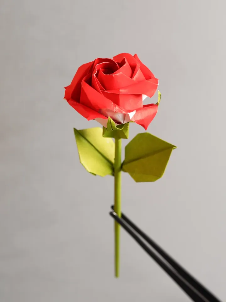 Origami Phu Tran Rose