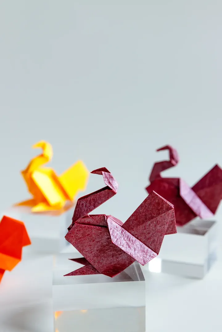 Origami Turkey