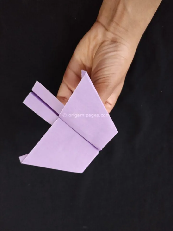 Pteroplane Paper Airplane