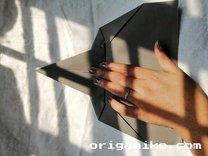 Uranus Arc lll Paper Airplane Step 4 (d)