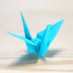 Featured image for 25+ Origami Birds You Need to Try